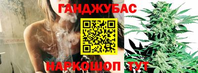 стафф Обь