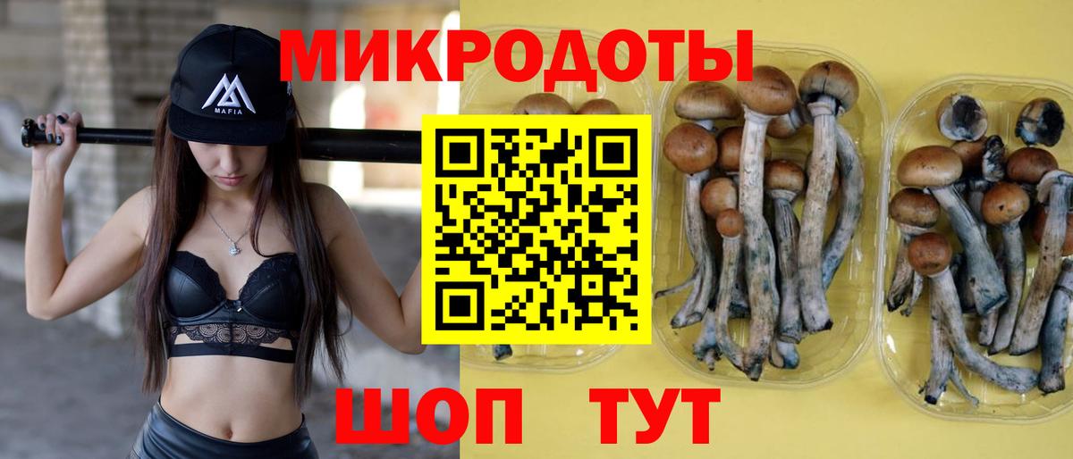 Сосновый Бор  магазин продажи наркотиков  Псилоцибиновые грибы мицелий  Вход с VPN  Псилоцибиновые грибы GOLDEN TEACHER 